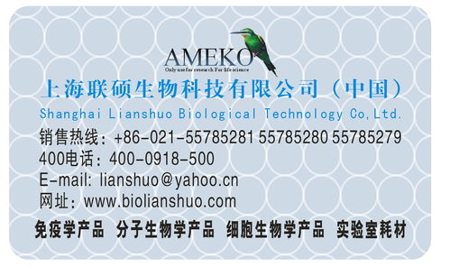 深度解析價格、采購、供應(yīng)商信息與技術(shù)交流的關(guān)聯(lián)與策略